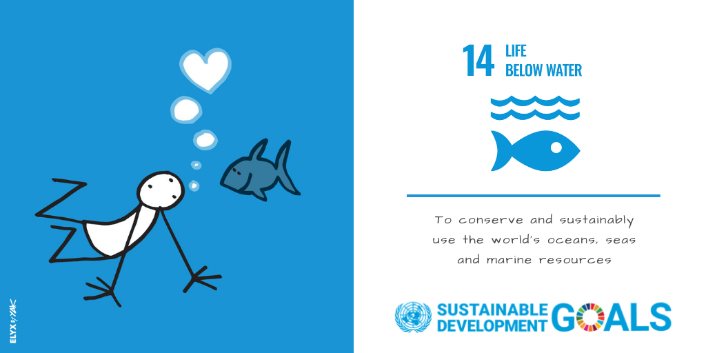 SDG14-2